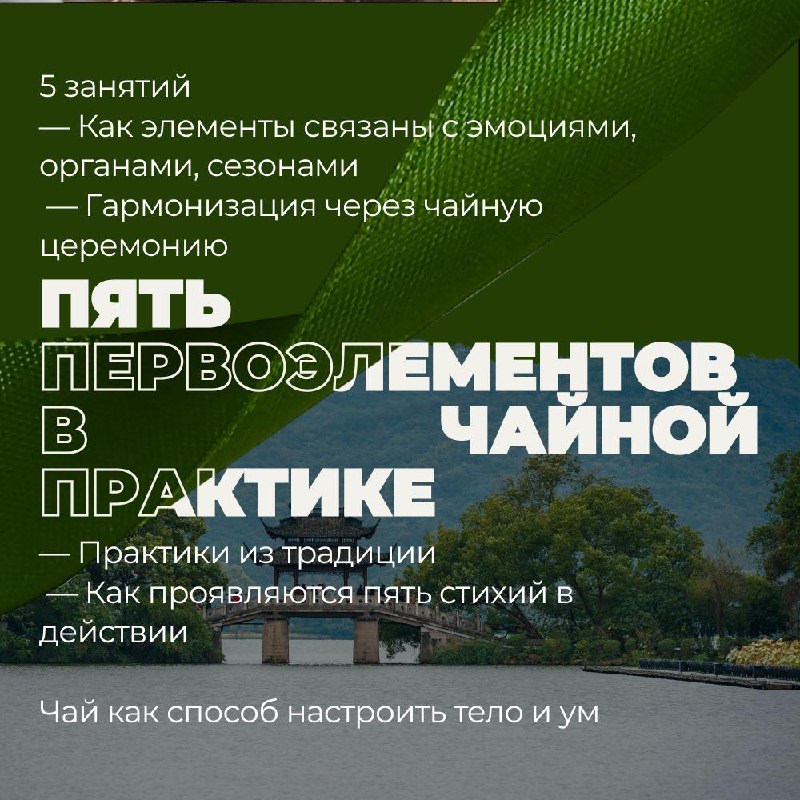 Углублённые школы с Евгением — уникальные занятия о чае, культуре и символике Востока — фото 7