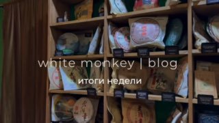 Кадр из публикации: white monkey tea | blog