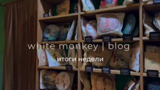 Кадр из публикации: white monkey tea | blog