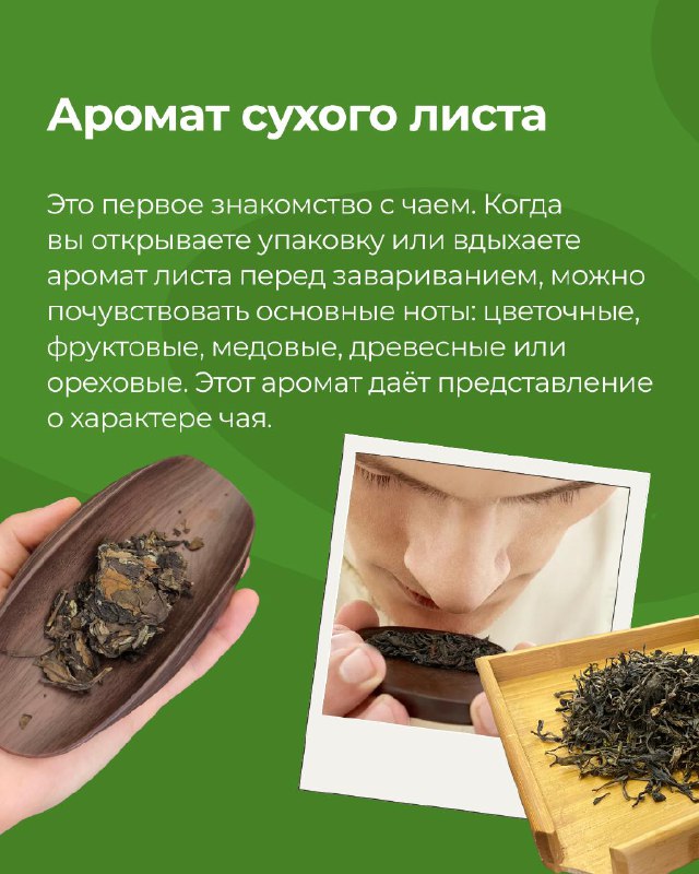 Кадр из публикации: Аромат - это одна из самых тонких и важных сторон чая. В китайской чайной культуре считается,…