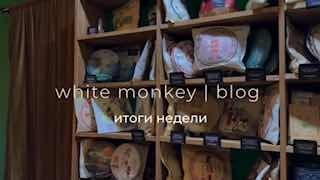 Кадр из публикации: white monkey tea | blog