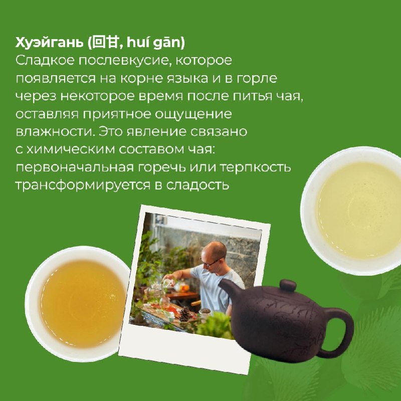 Китайский чай — это не просто напиток, а целый язык, в котором вкус, аромат и состояние… — фото 1