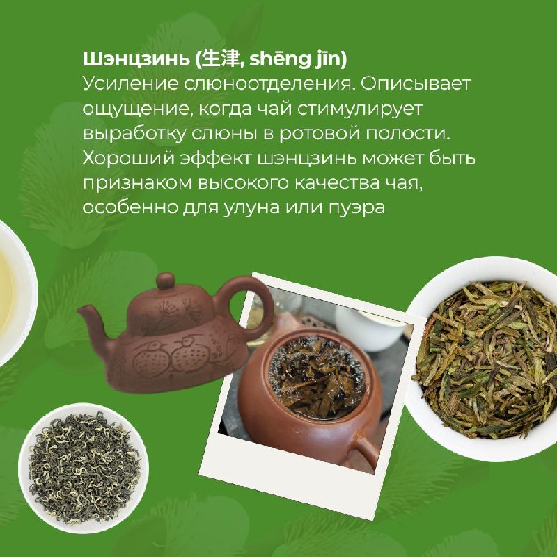 Китайский чай — это не просто напиток, а целый язык, в котором вкус, аромат и состояние… — фото 2