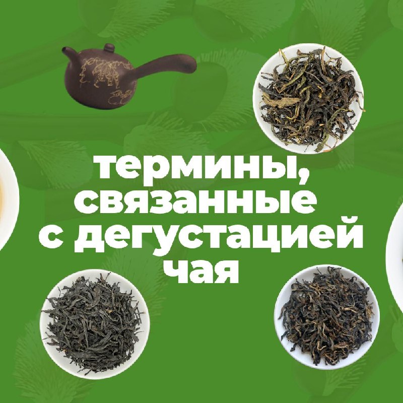 Китайский чай — это не просто напиток, а целый язык, в котором вкус, аромат и состояние… — фото 5