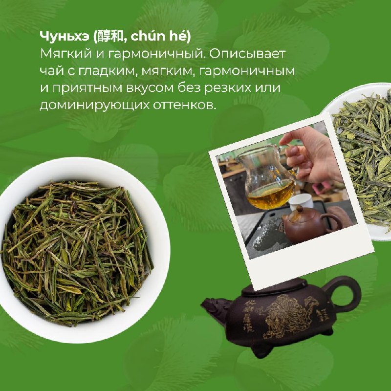 Китайский чай — это не просто напиток, а целый язык, в котором вкус, аромат и состояние… — фото 6