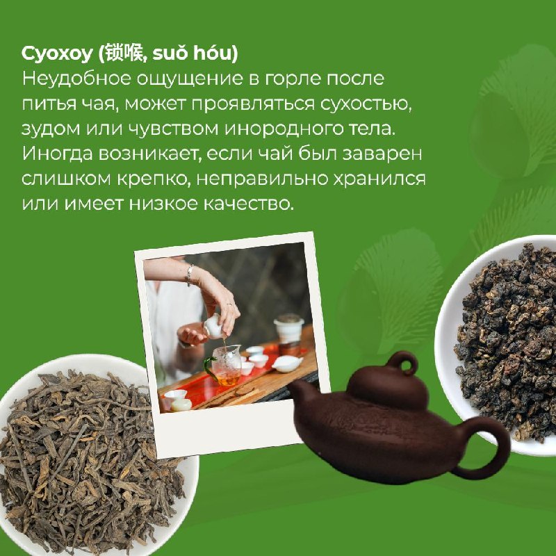 Китайский чай — это не просто напиток, а целый язык, в котором вкус, аромат и состояние… — фото 7