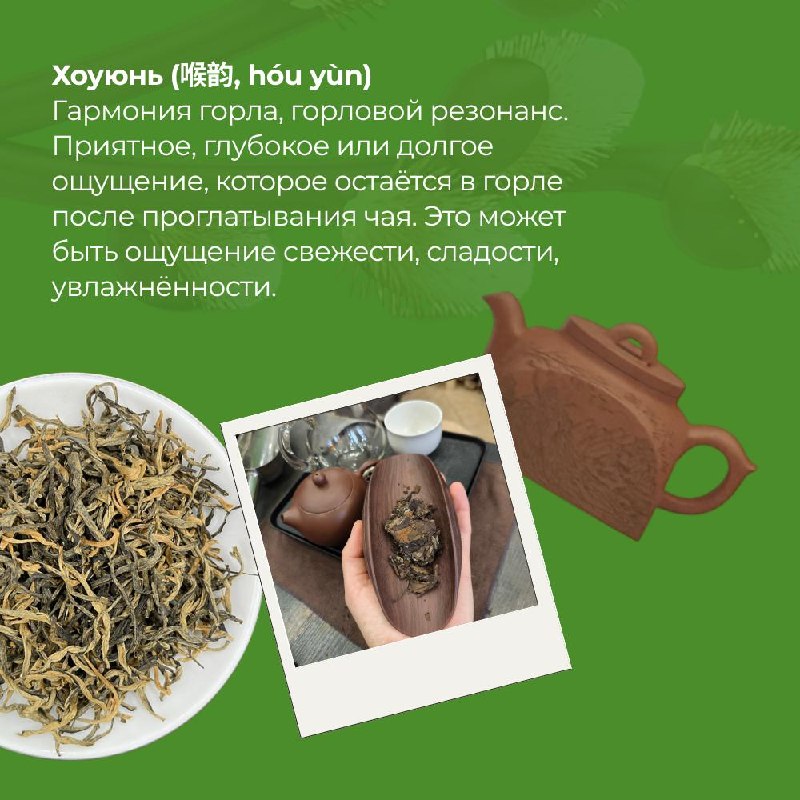 Китайский чай — это не просто напиток, а целый язык, в котором вкус, аромат и состояние… — фото 9