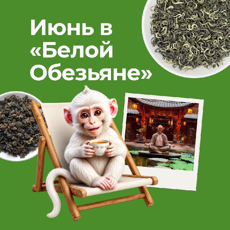 Кадр из публикации: ИЮНЬСКИЕ ДЕГУСТАЦИИ И СОБЫТИЯ «БЕЛОЙ ОБЕЗЬЯНЫ»