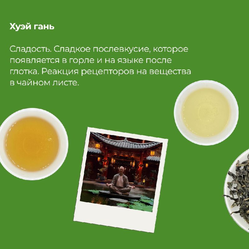 Кадр из публикации: 10 чайных терминов, которые должен знать каждый
