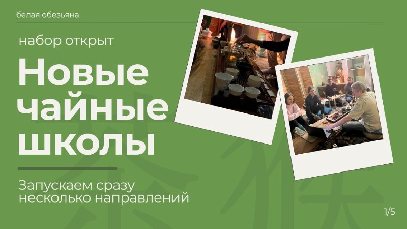 Открываем набор сразу на несколько чайных школ 🍵 — фото 1