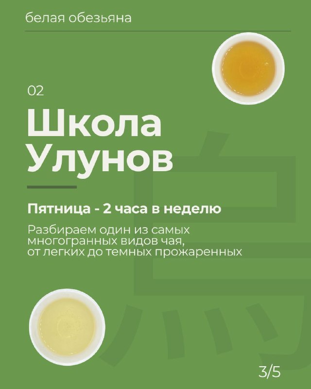 Открываем набор сразу на несколько чайных школ 🍵 — фото 3