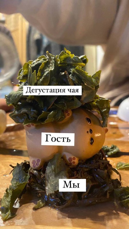 Пара кадров с дегустации светлых улунов 🐵🐉 — фото 1
