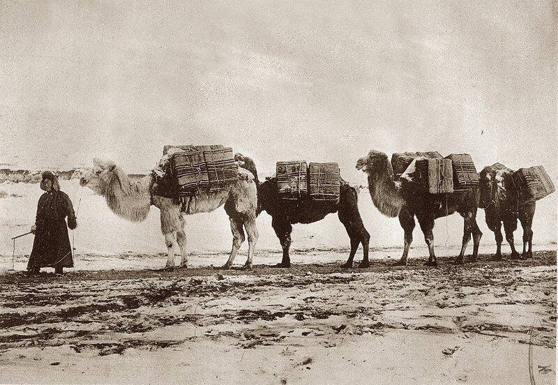 История чая: Чай в России 🐪🍃🍂📦 — фото 4