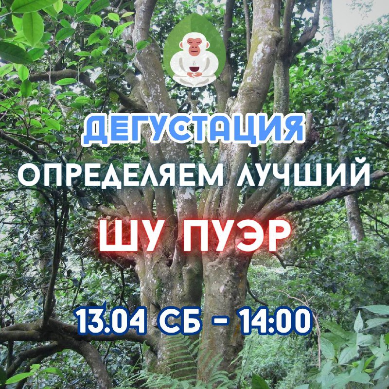 Ближайшие чайные мероприятия в Белой Обезьяне 🐵🍵 — фото 2