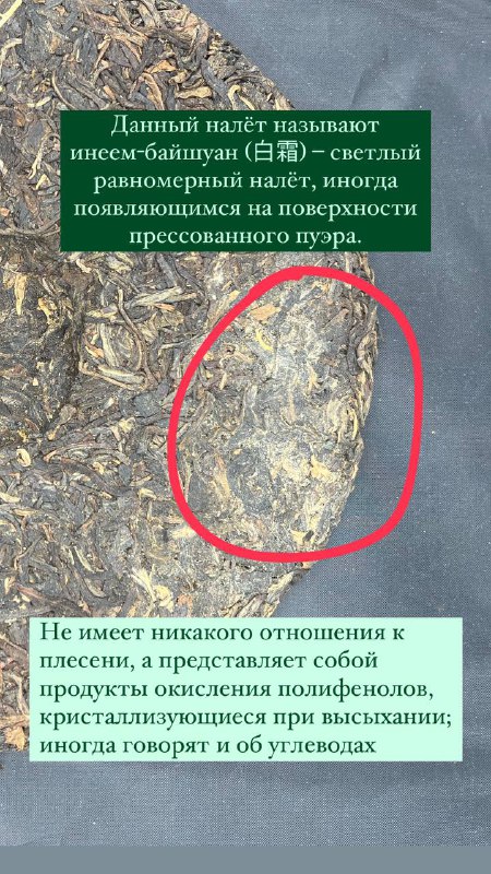 Кадр из публикации: Новинки уже доступны в магазине от 5 гр!