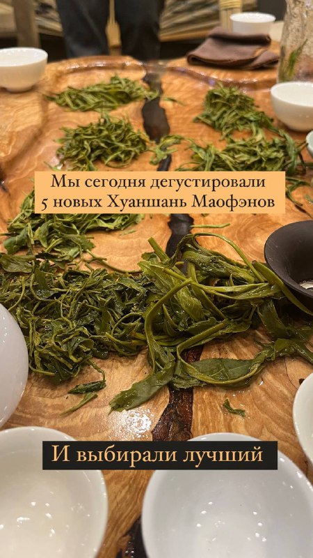 Кадр из публикации: Последняя дегустация новинок 😉